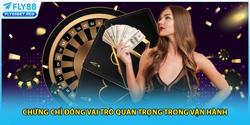 Chứng chỉ đóng vai trò quan trọng trong vận hành