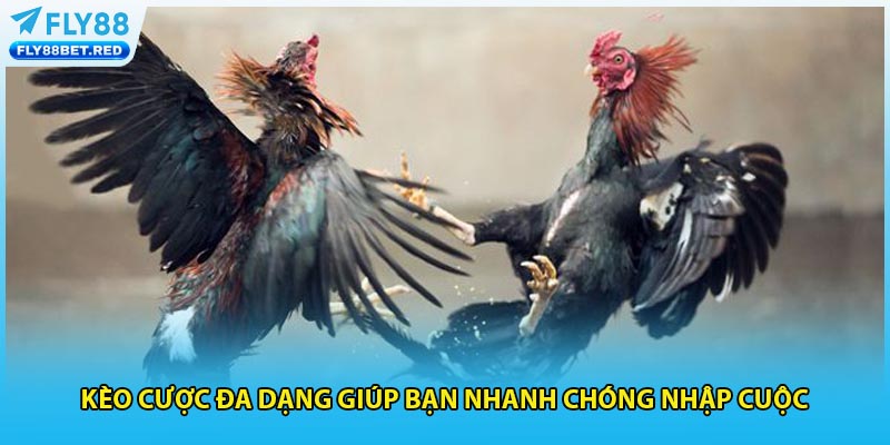 Kèo cược đa dạng giúp bạn nhanh chóng nhập cuộc