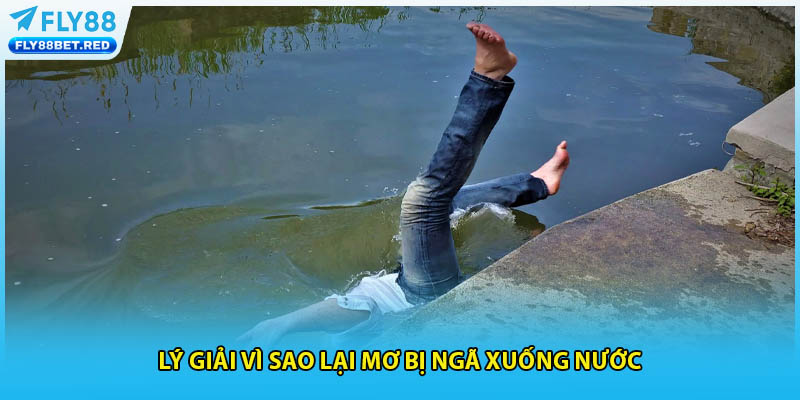 Lý giải vì sao lại mơ bị ngã xuống nước