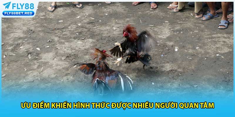 Ưu điểm khiến hình thức được nhiều người quan tâm